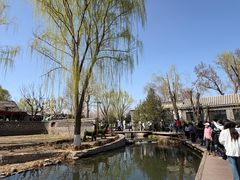 -春风习习