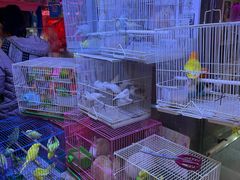 -双季花艺园艺市场(浦东店)