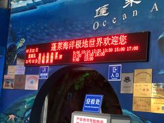 -蓬莱欧乐堡海洋极地世界
