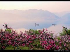 -河口景区