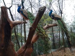 -庐山西海主景区
