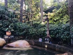 -西安国际创新人才交流中心•药浴温泉