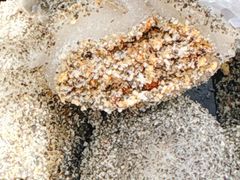 -叶氏麻糍(鼓浪屿店)