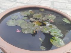 -天坛大佛