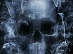 -欢乐季(南城店)