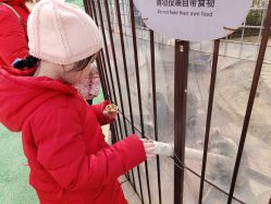 -萌宠亲子动物乐园(槐房万达店)