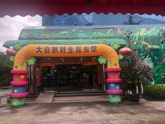 -上海大自然野生昆虫馆(东方明珠·爬宠昆虫探索中心)