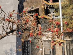 -土楼观-北禅寺
