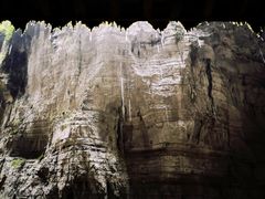 -武陵山森林公园
