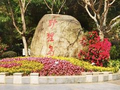 -野狸岛