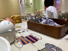 -藏猫猫咖啡主题馆(中央大道店)