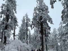 -瓦屋山景区