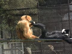 -宁波野生动物园