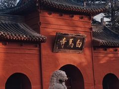 -洛阳白马寺