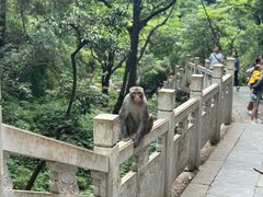 -黔灵山公园