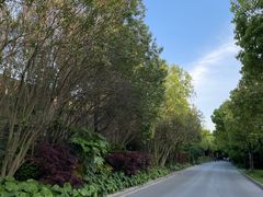 -吴淞炮台湾湿地森林公园烧烤区