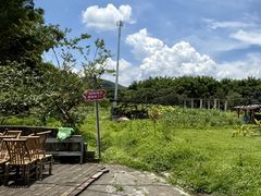 -丰依竹食·老牌竹筒饭