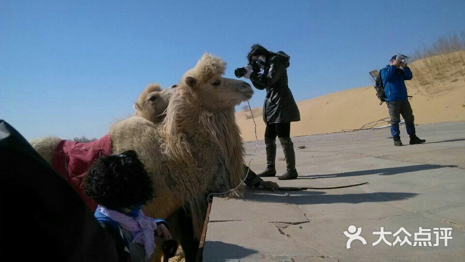 皇都大酒店-图片-奈曼旗酒店-大众点评网