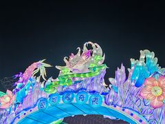 -海合安武汉极地海洋公园