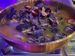 -Darling Queen·Mini·Live·House