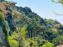 -醉得意·山茶油炒土鸡(泰安火车站大润发店)