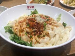 -晋宝章大同刀削面(和平里店)