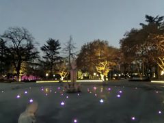 -渭滨公园