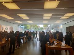 -Apple零售店(深圳益田假日广场店)