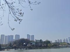 -月湖风景区