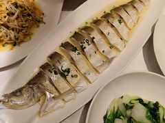葱香鸡汁大白鱼-绿杨春·淮扬宴(庐山路店)