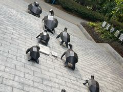 -广东惠东海龟国家级自然保护区