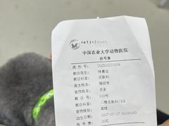-中国农业大学动物医院