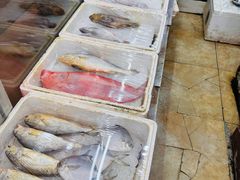 -小铜锣湾海鲜家常菜馆(河西店)