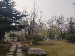 -丁家河公园