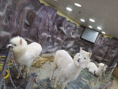 -上海大自然野生昆虫馆(东方明珠·爬宠昆虫探索中心)