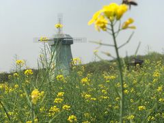 -武汉紫薇都市田园