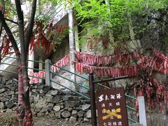 -十渡东湖港风景区