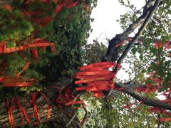 蓬莱阁景区-蓬莱阁景区