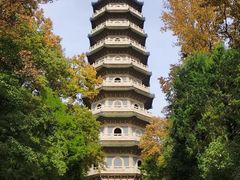 -灵谷景区