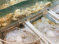 -福建美食城(老君堂店)