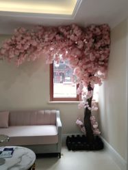 -万州华美紫馨整形美容医院