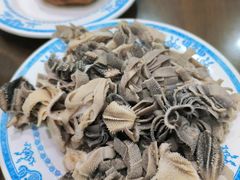 羊散丹-老爆肚满五香烧牛羊肉