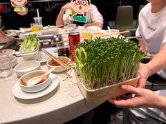 -海底捞大排档火锅(打浦路店)