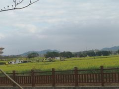 -光明小镇欢乐田园