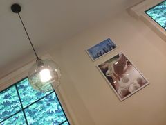 -小杨生煎(龙阳广场店)