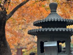 -香山公园
