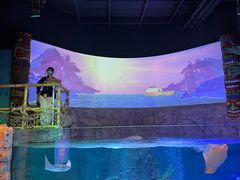 -沈阳海洋探索中心