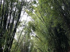 -九曲溪漂流