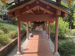 -广州神农草堂中医药博物馆
