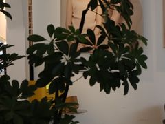 -Northand Coffee(来福士店)